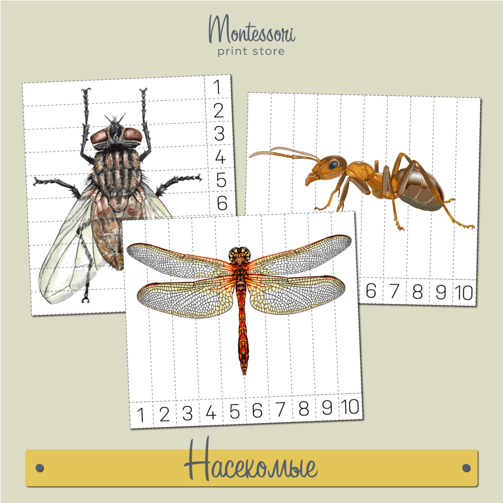 Насекомые Математические пазлы 1-10 купить и скачать