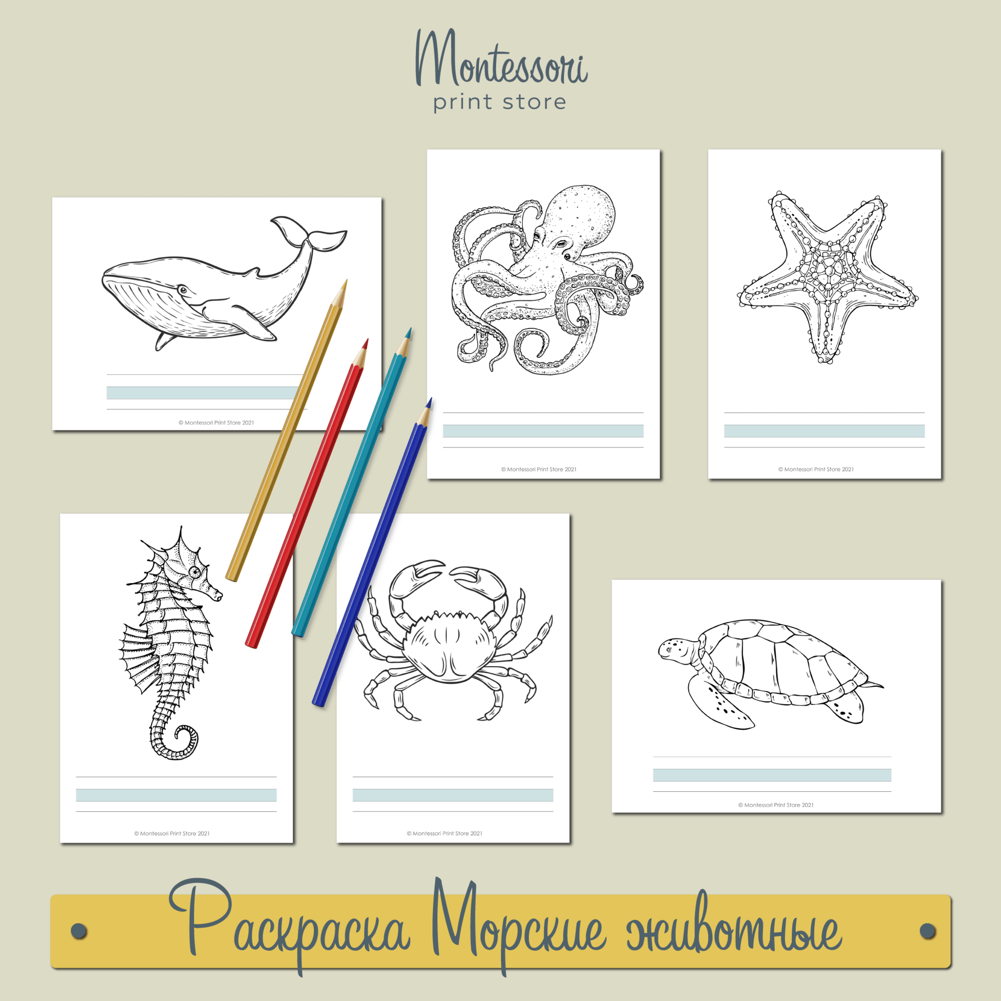Морские животные