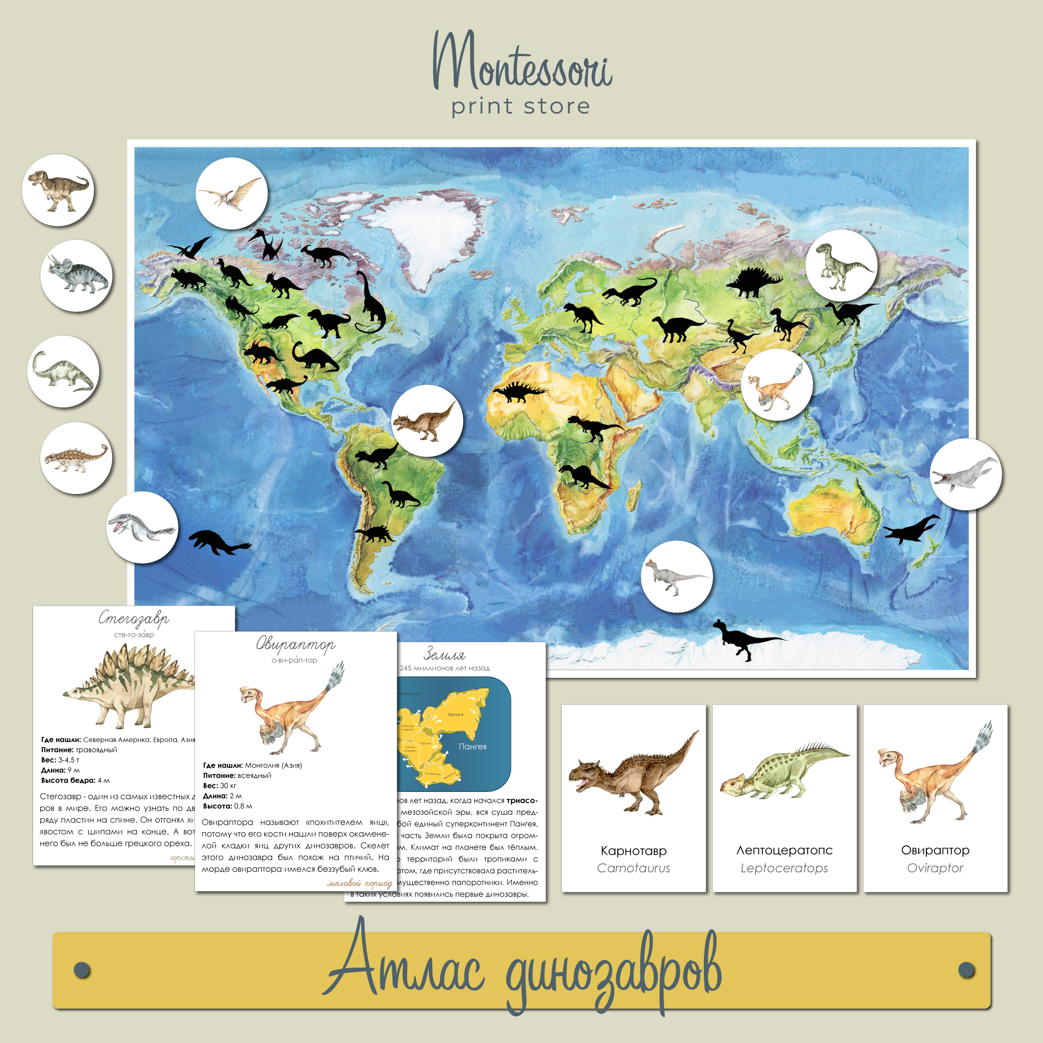 Атлас динозавров - карточки Монтессори купить и скачать