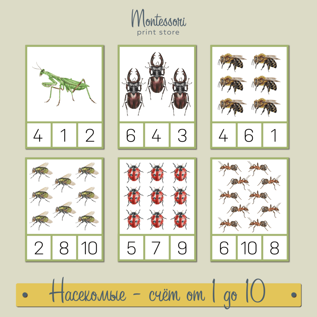 Тропические жуки счет от 1 до 10 - математика Монтессори купить и скачать