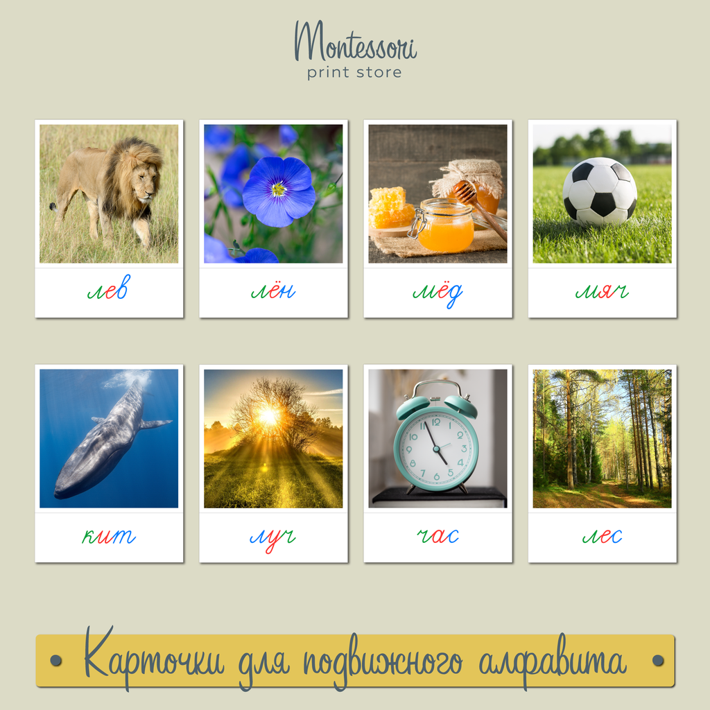 Карточки для трехцветного подвижного алфавита - карточки Монтессори купить  и скачать