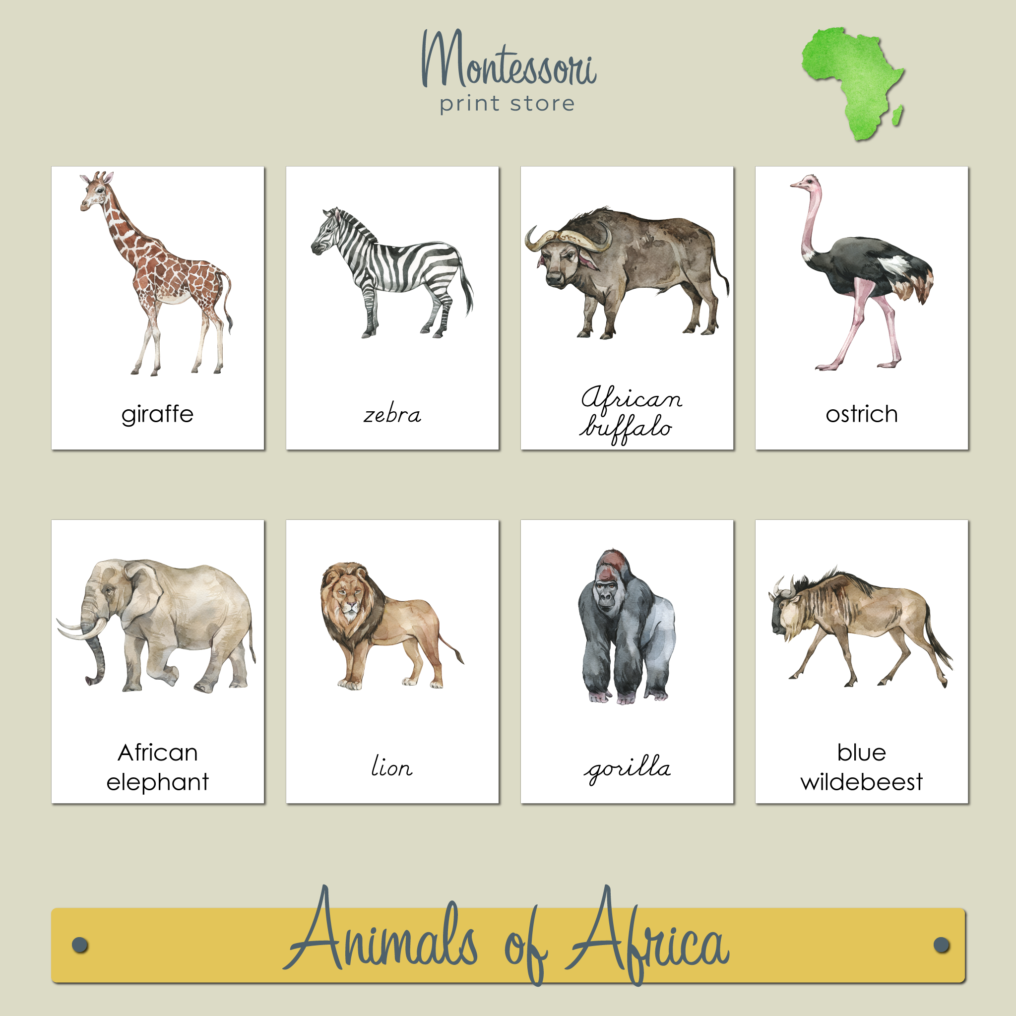 ANIMALS OF AFRICA 3-PART CARDS - MONTESSORI NOMENCLATURE CARDS