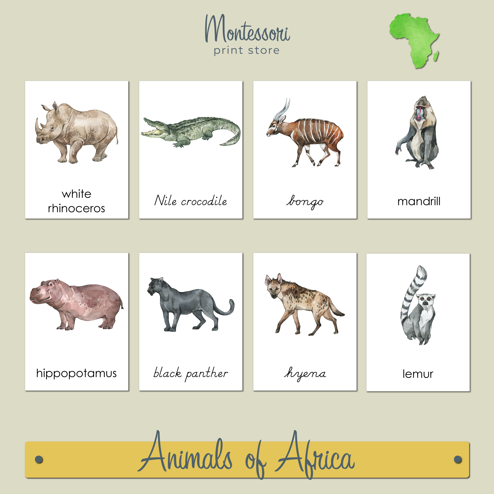 ANIMALS OF AFRICA 3-PART CARDS - MONTESSORI NOMENCLATURE CARDS