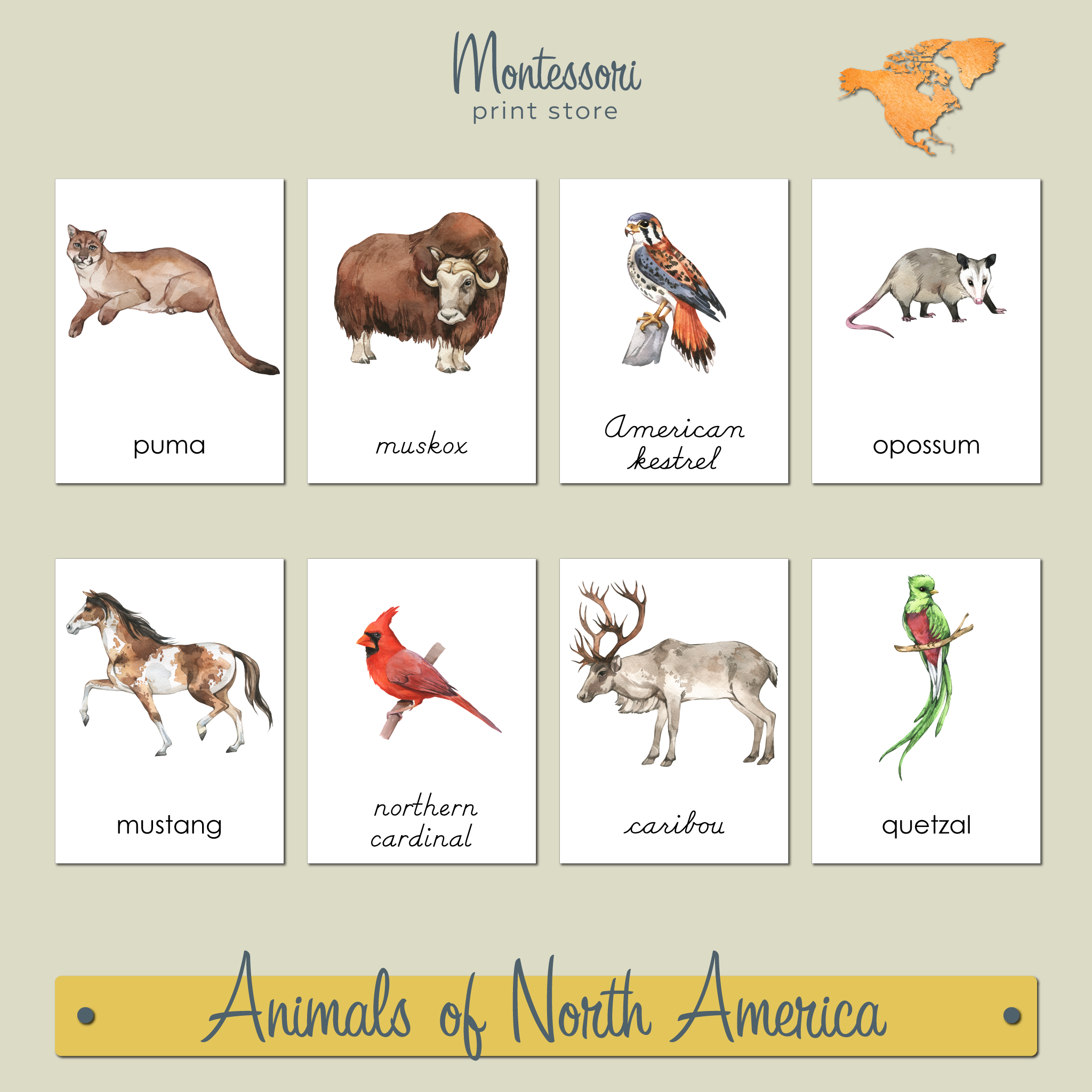 ANIMALS OF NORTH AMERICA 3-PART CARDS - MONTESSORI NOMENCLATURE CARDS