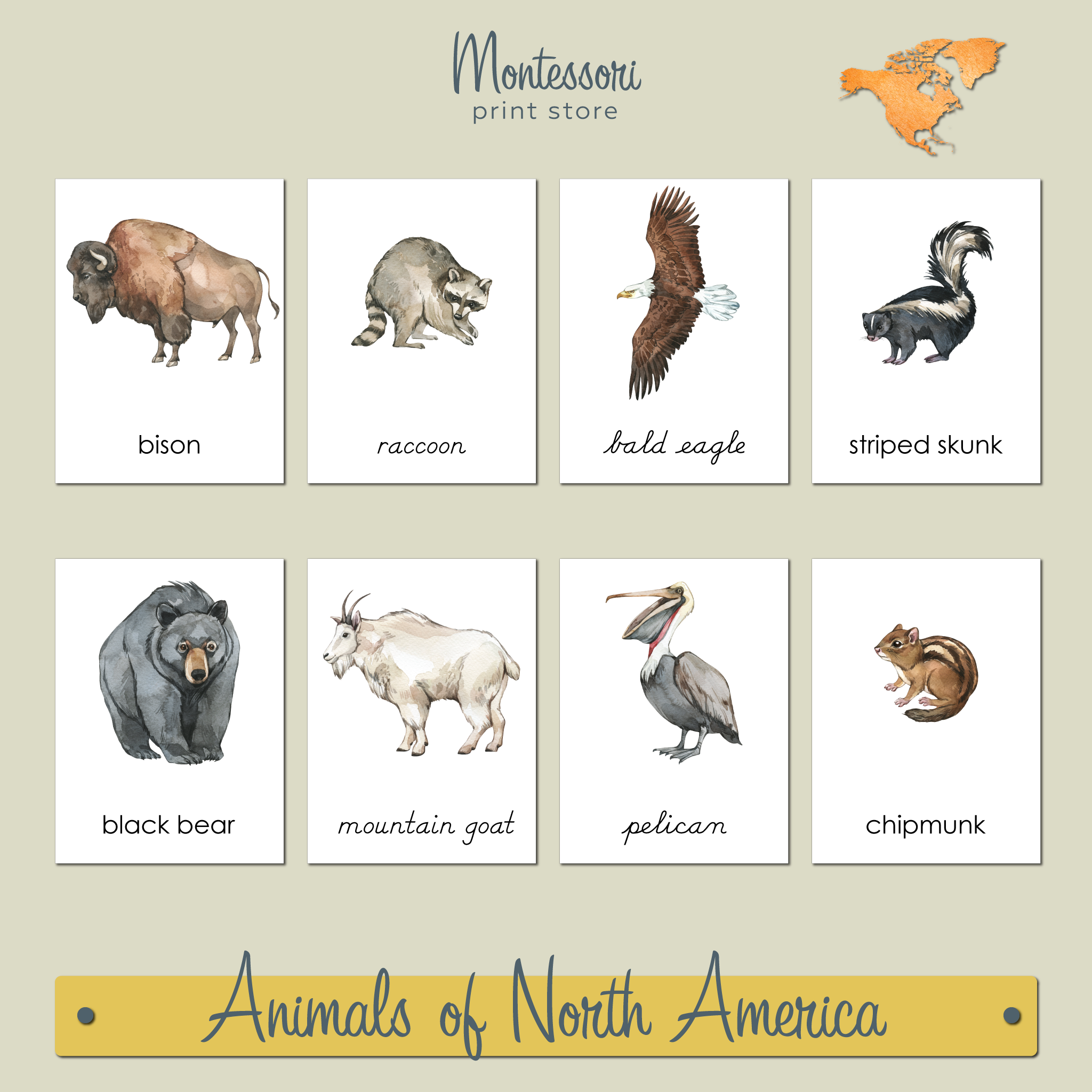 ANIMALS OF NORTH AMERICA 3-PART CARDS - MONTESSORI NOMENCLATURE CARDS