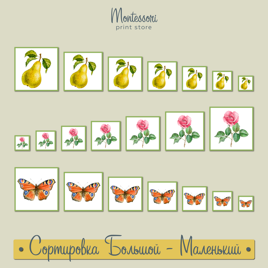 Сортировка Большой - Маленький - карточки Монтессори купить и скачать