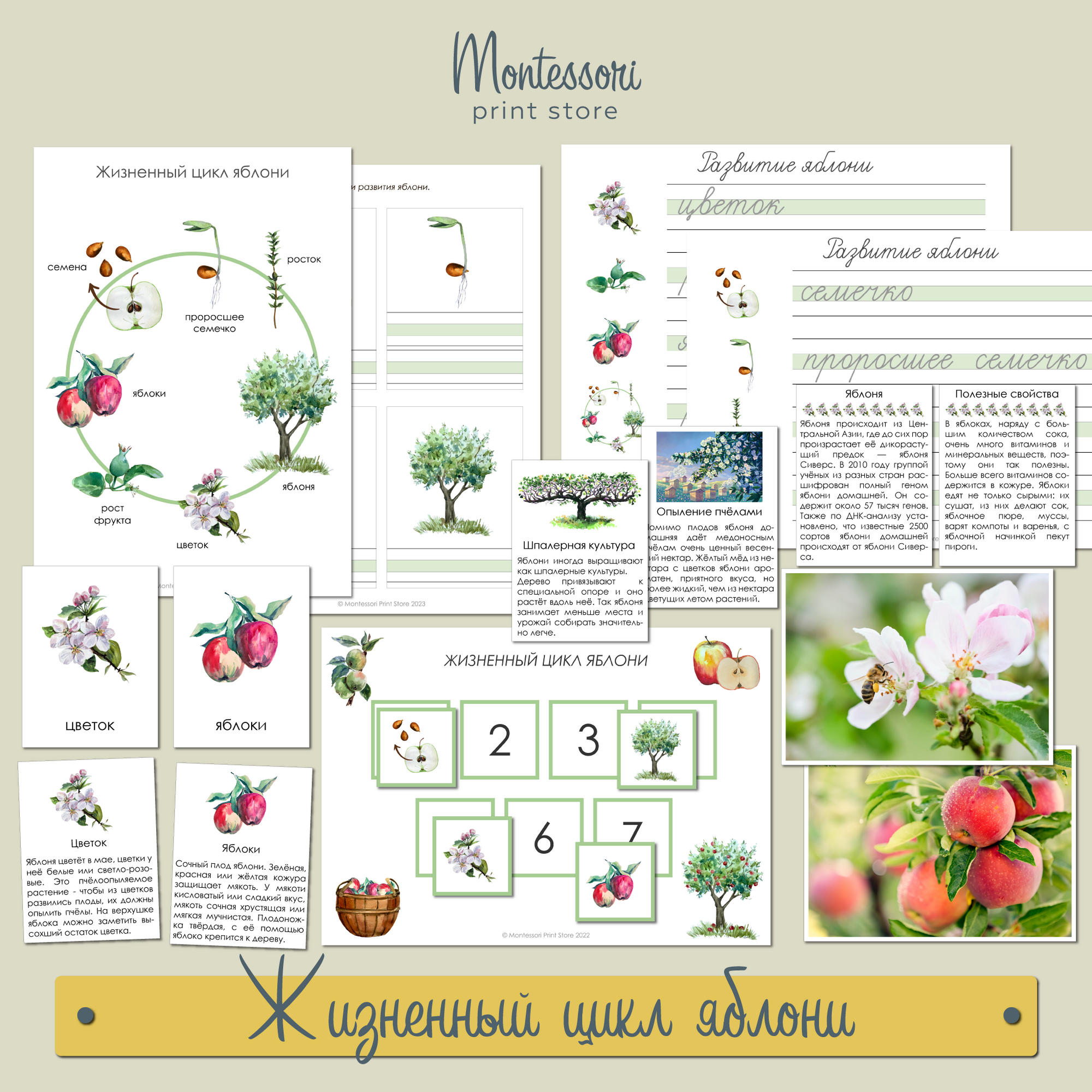 Карточки Монтессори купить и скачать