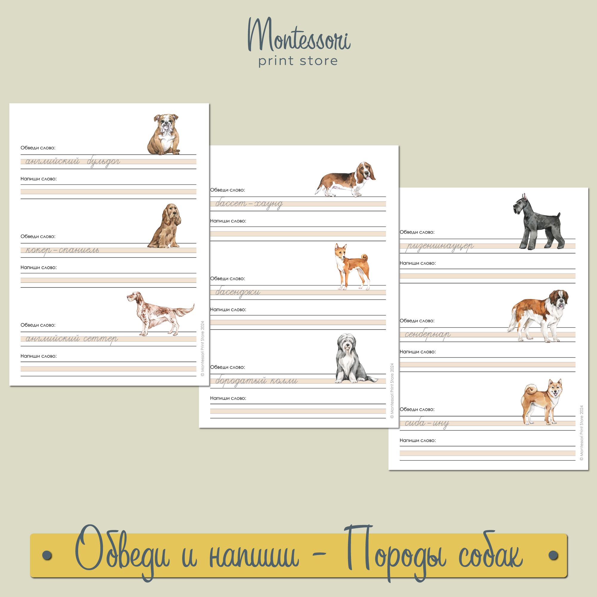 Карточки Монтессори купить и скачать