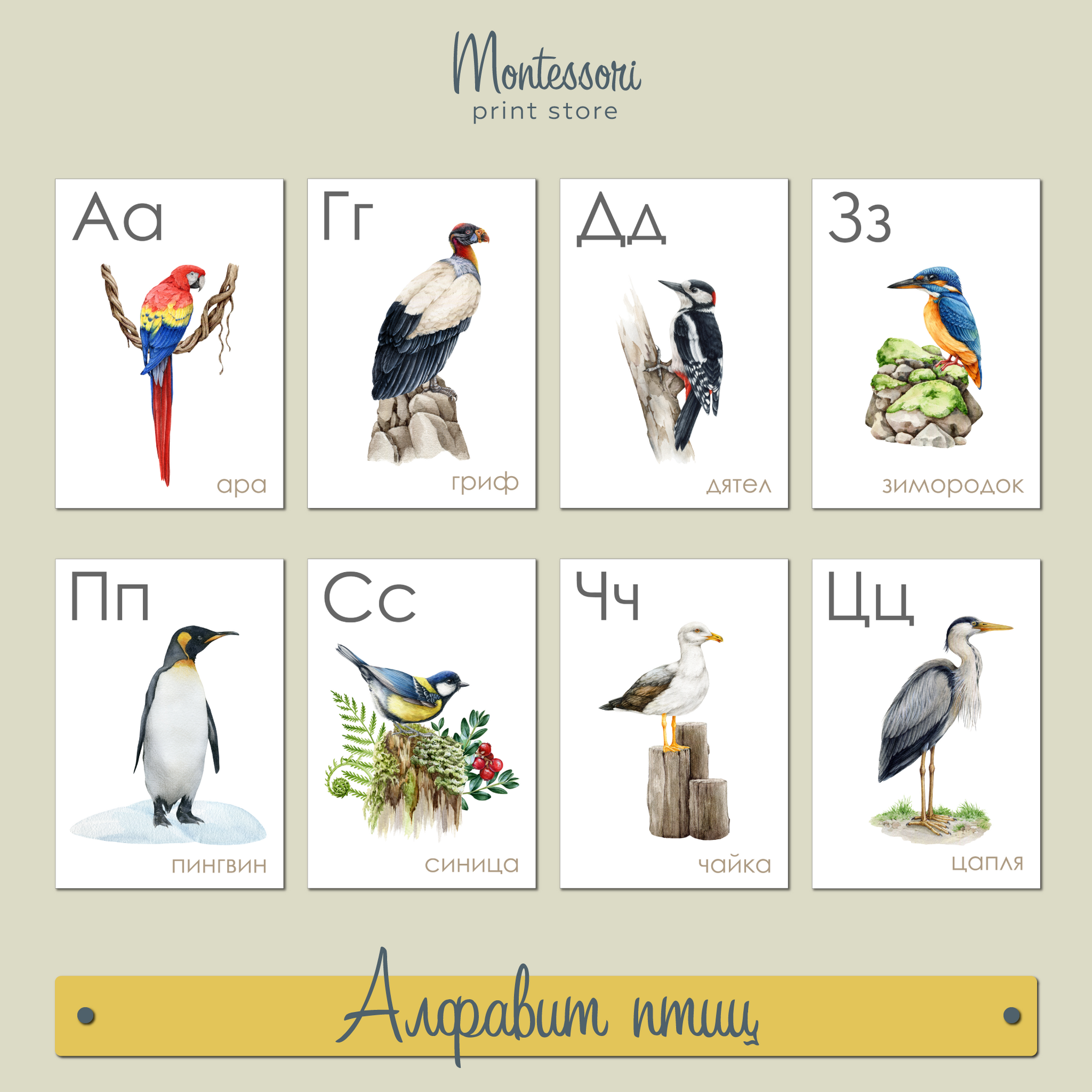 Карточки Монтессори купить и скачать