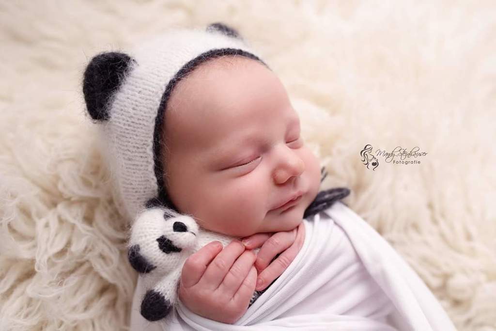 Plush toy Panda 10cm