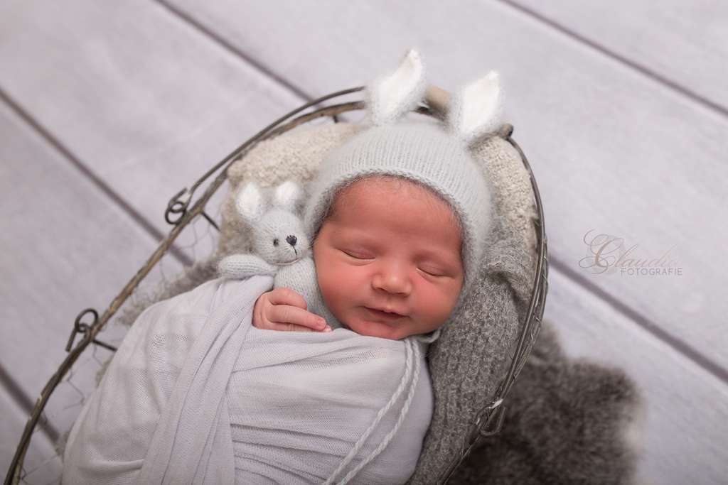 SET Bunny  standing ears