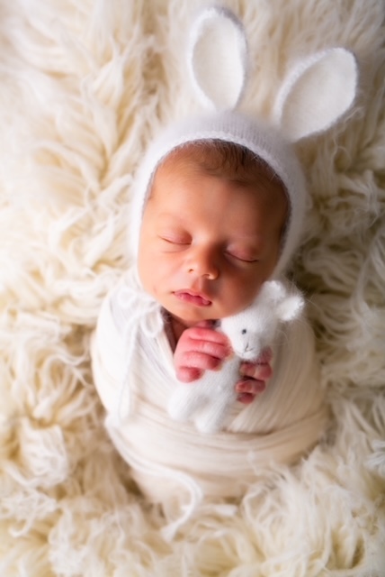 SET Bunny  short ears