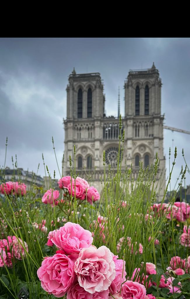 СРЕДНЕВЕКОВЫЙ ПАРИЖ