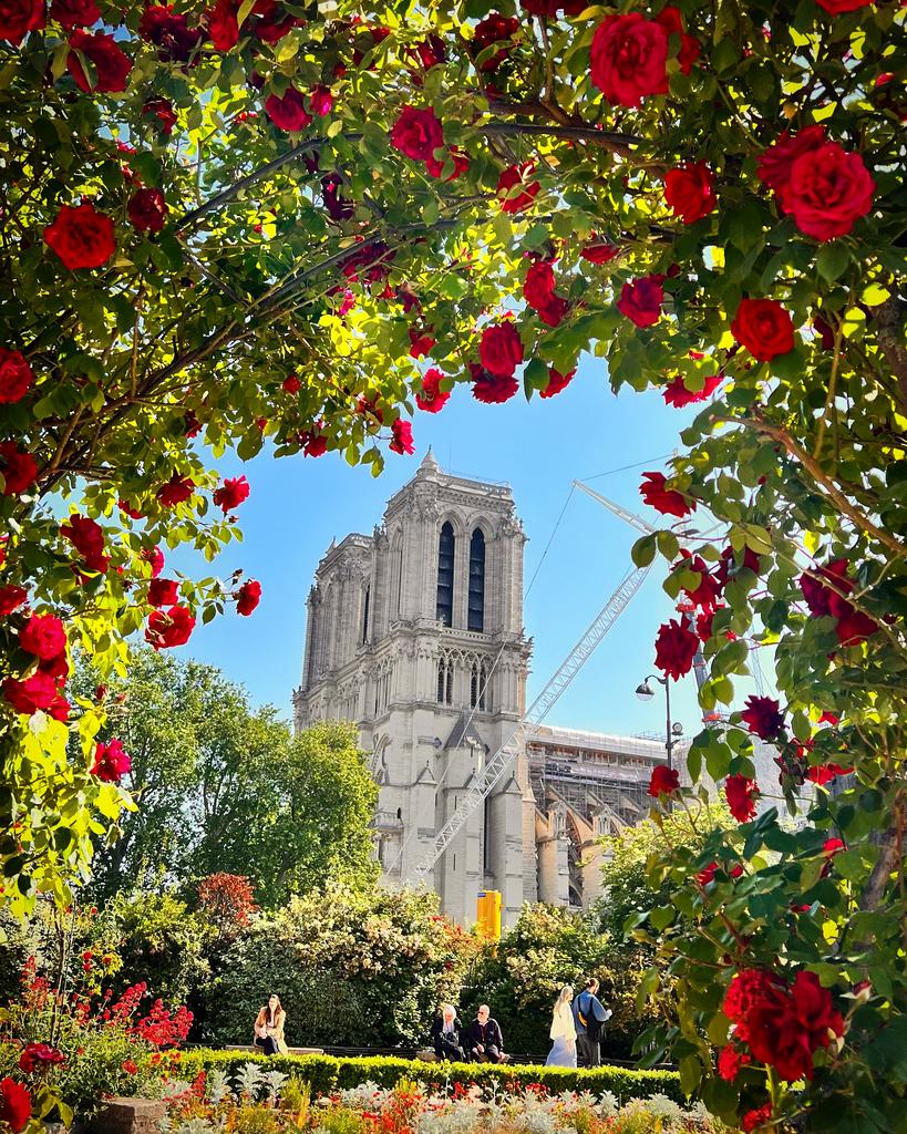 ЛЮБОВНЫЕ САГИ ОСТРОВА СИТЕ