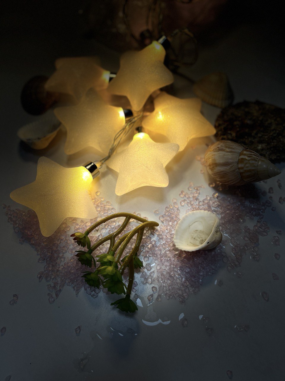 Морські зірки