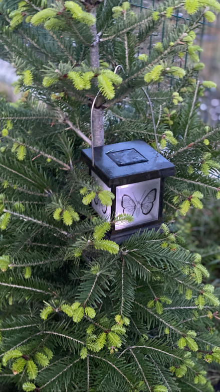 Садовий світильник з метеликом