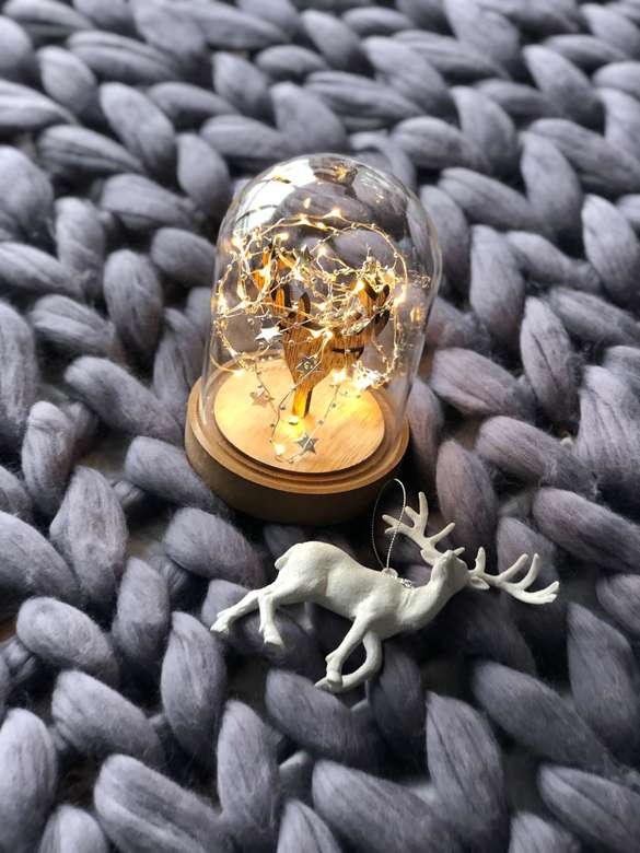 Банка "Різдвяний Олень"