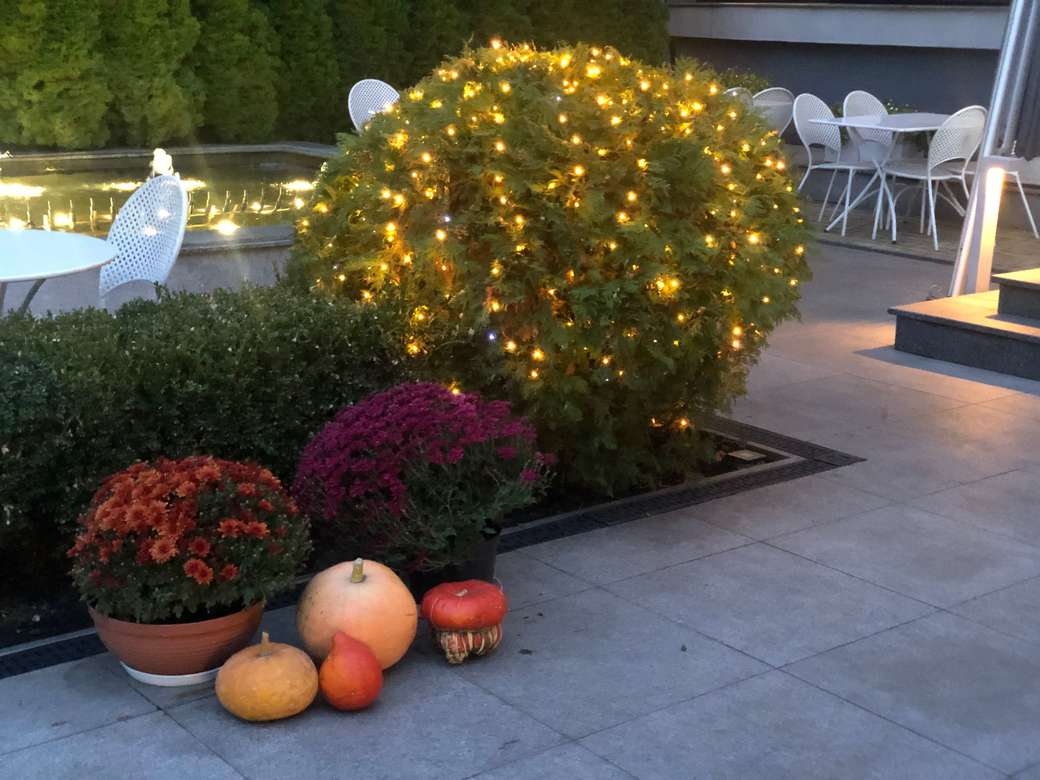 Гирлянда "Кільце"