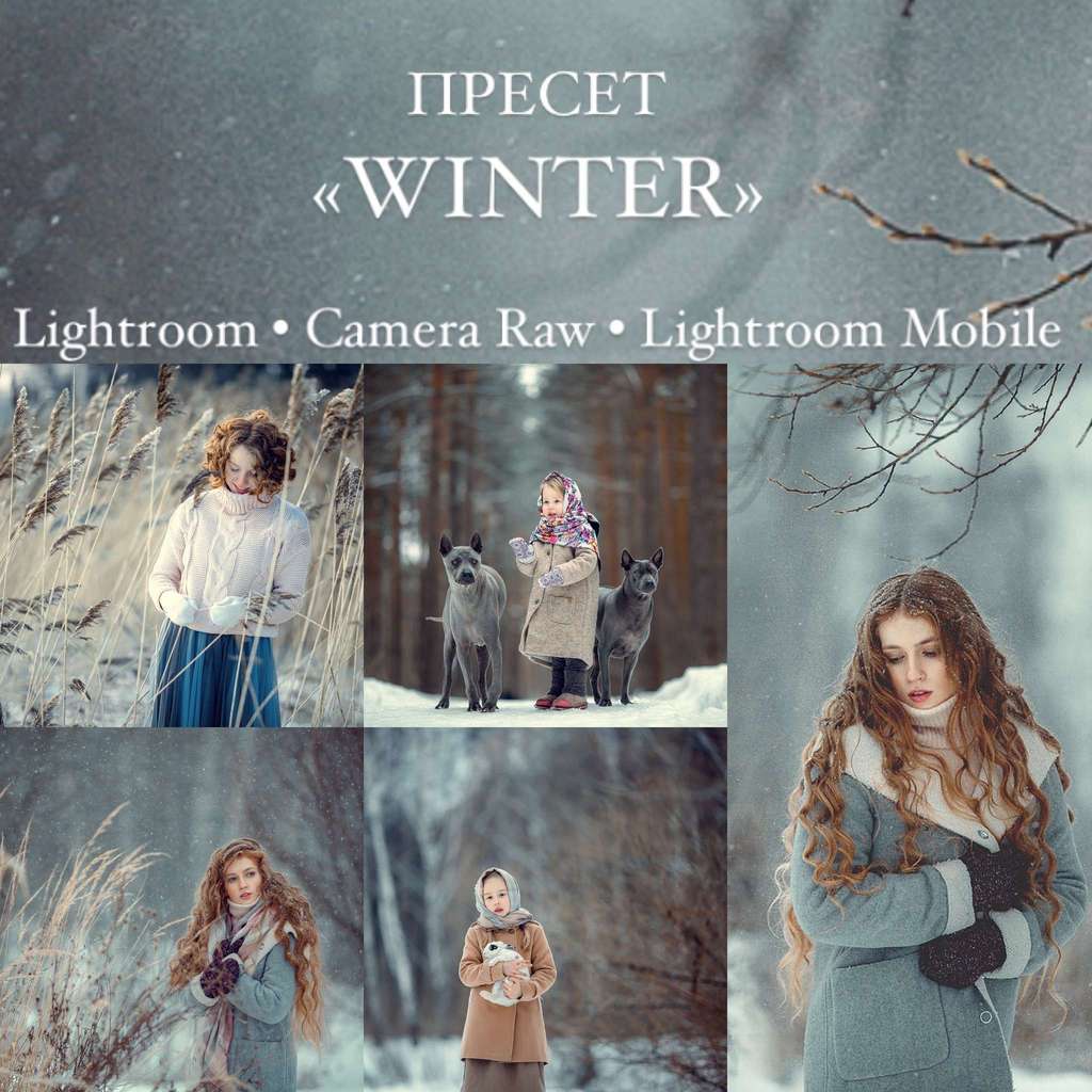 presets lightroom