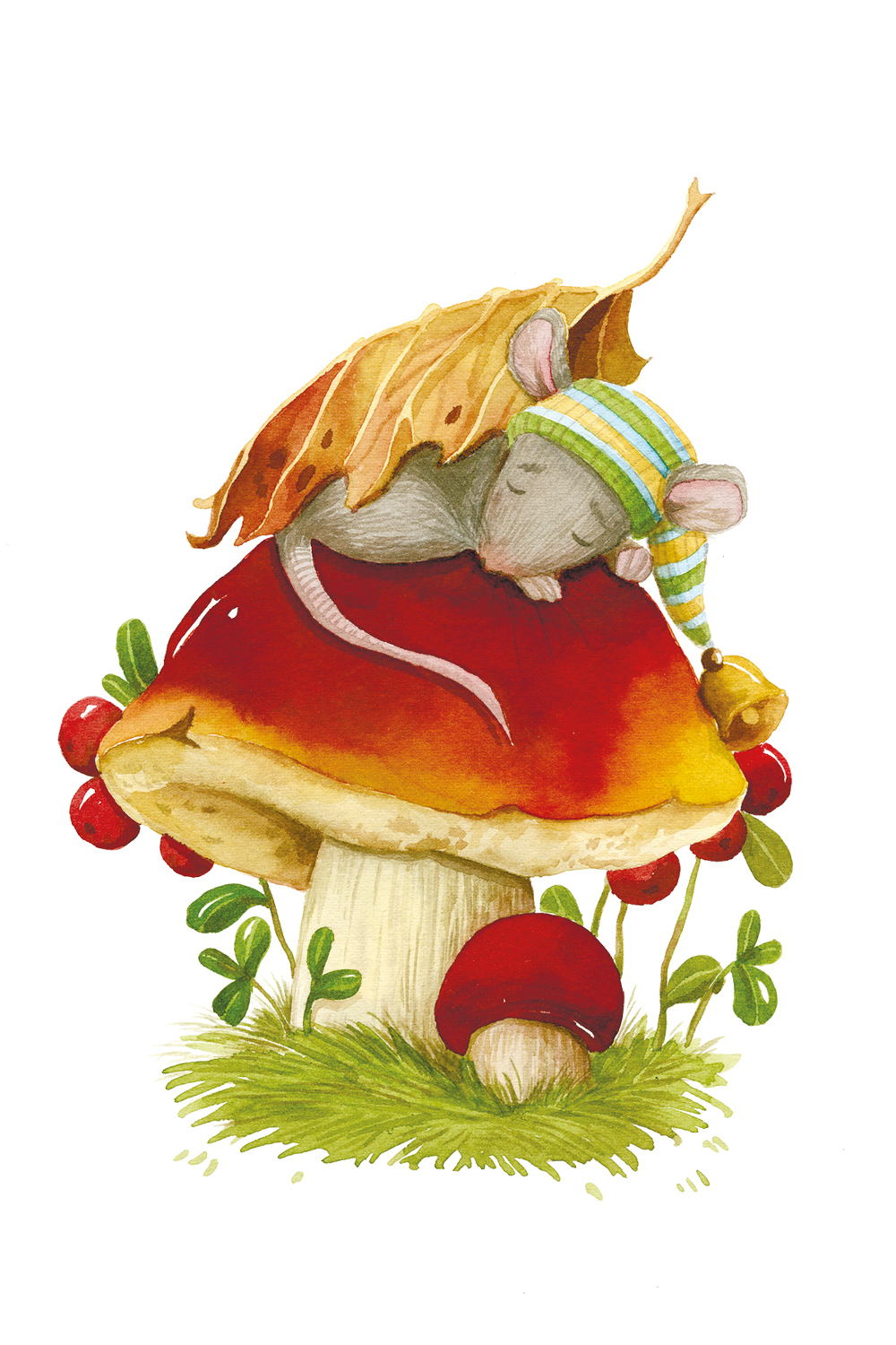 Осенние грибы картинки для детей