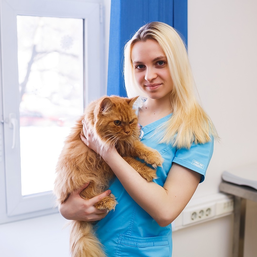Все сотрудники > Логвинова Валерия, ассистент ветеринарного врача купить в  интернет-магазине