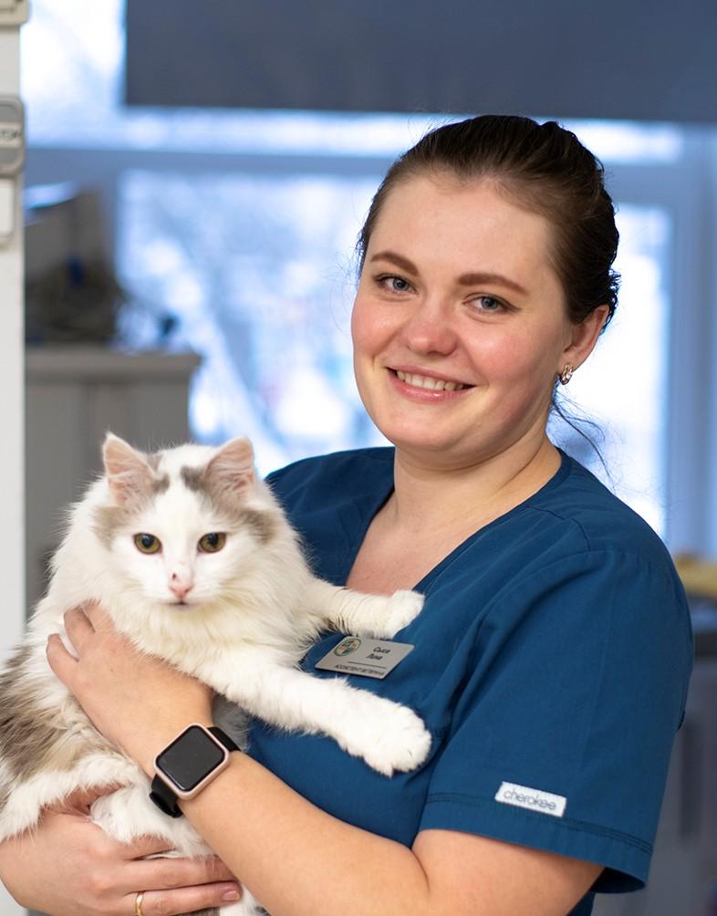 квалификация ветеринарного врача