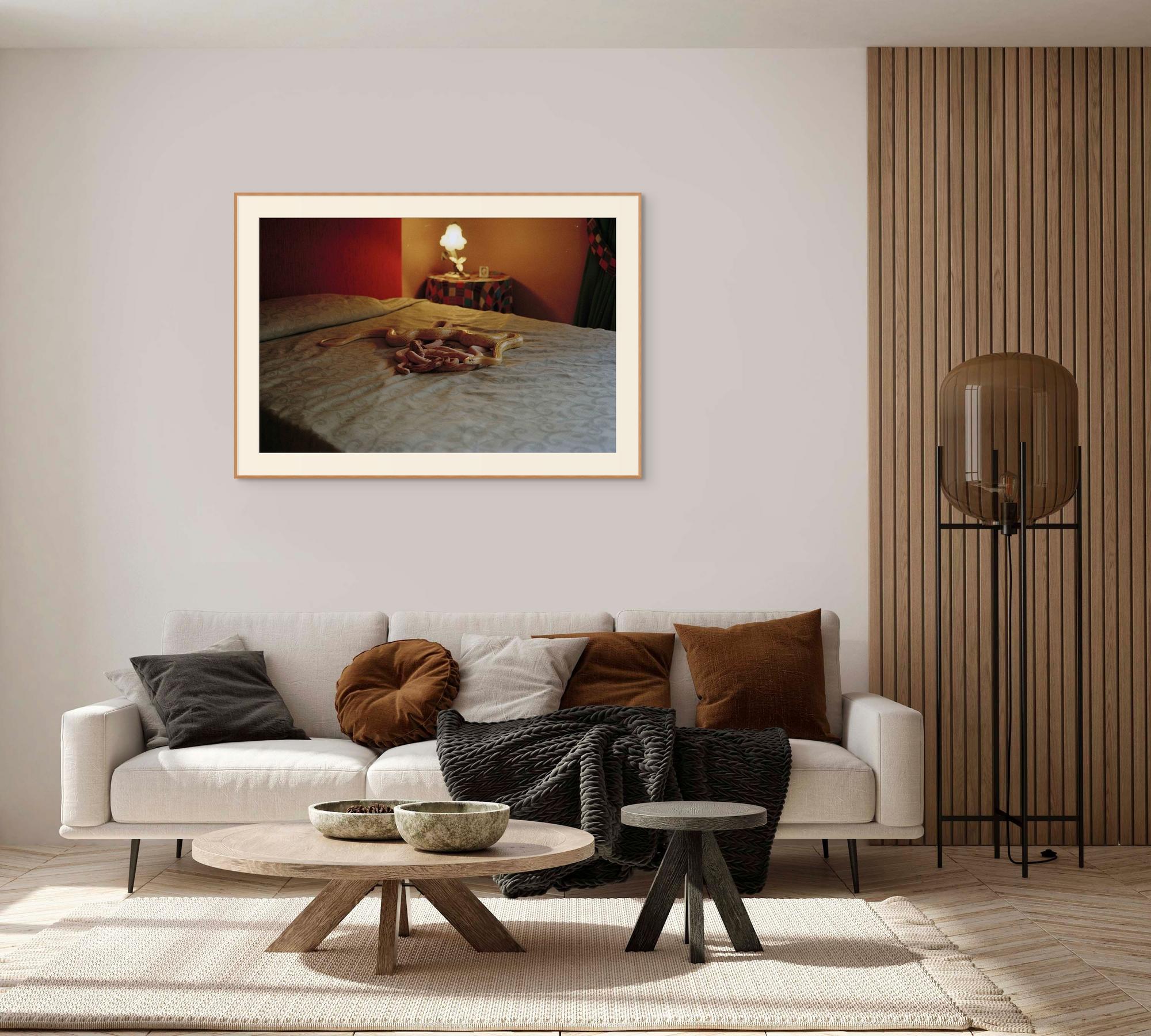 Lucid Dream: Snakes on the Bed