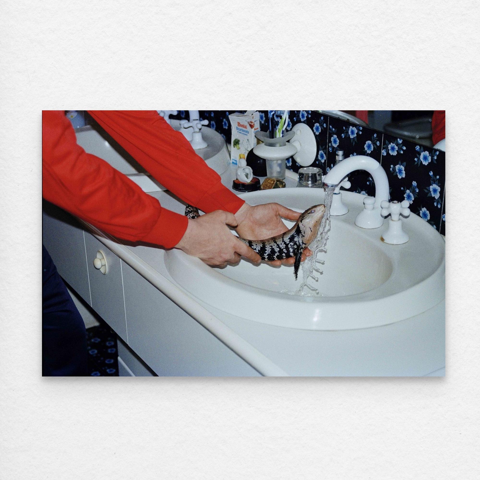 Lucid Dream:The Big Lizard's Baptism