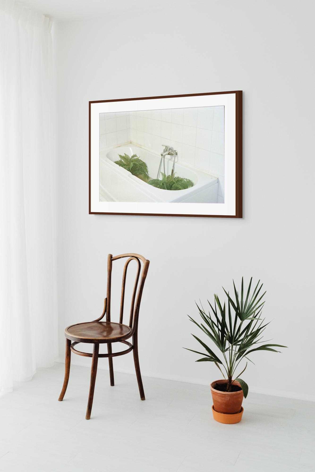 Lucid Dream: Plants Taking Over My Bath