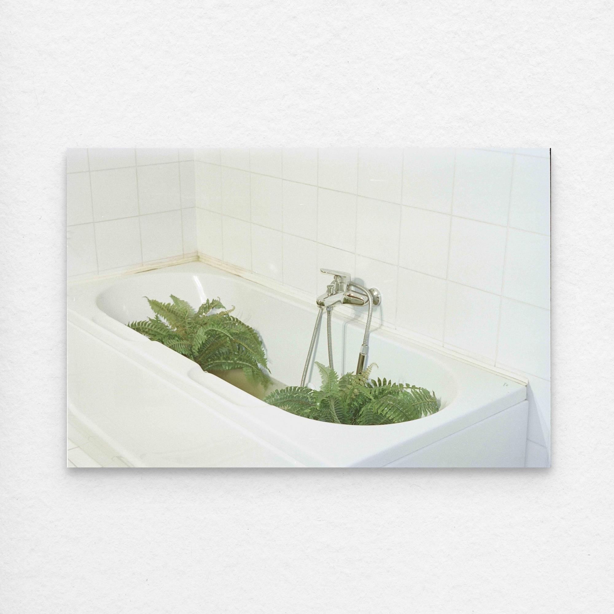 Lucid Dream: Plants Taking Over My Bath