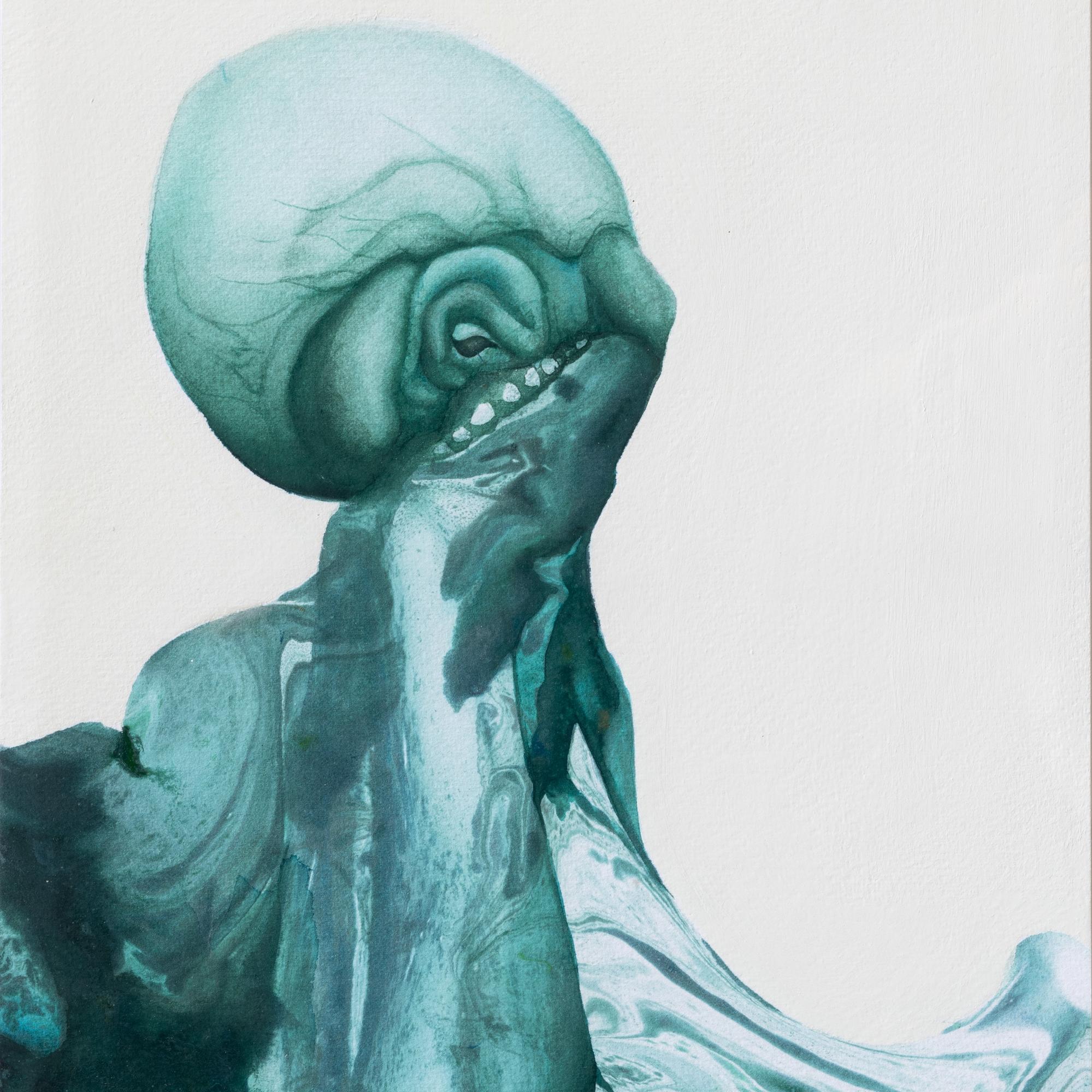 Octopus