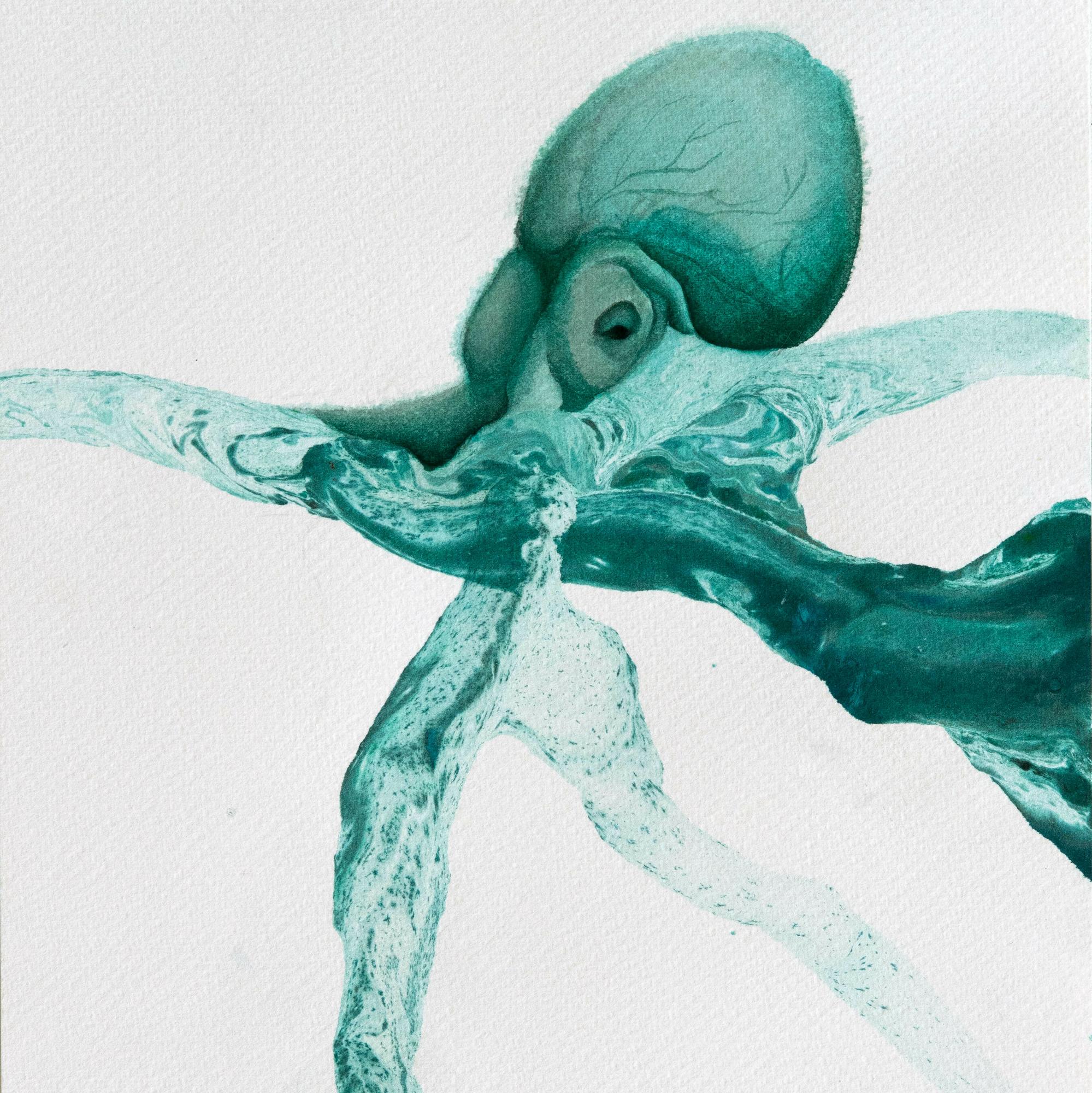 Octopus II