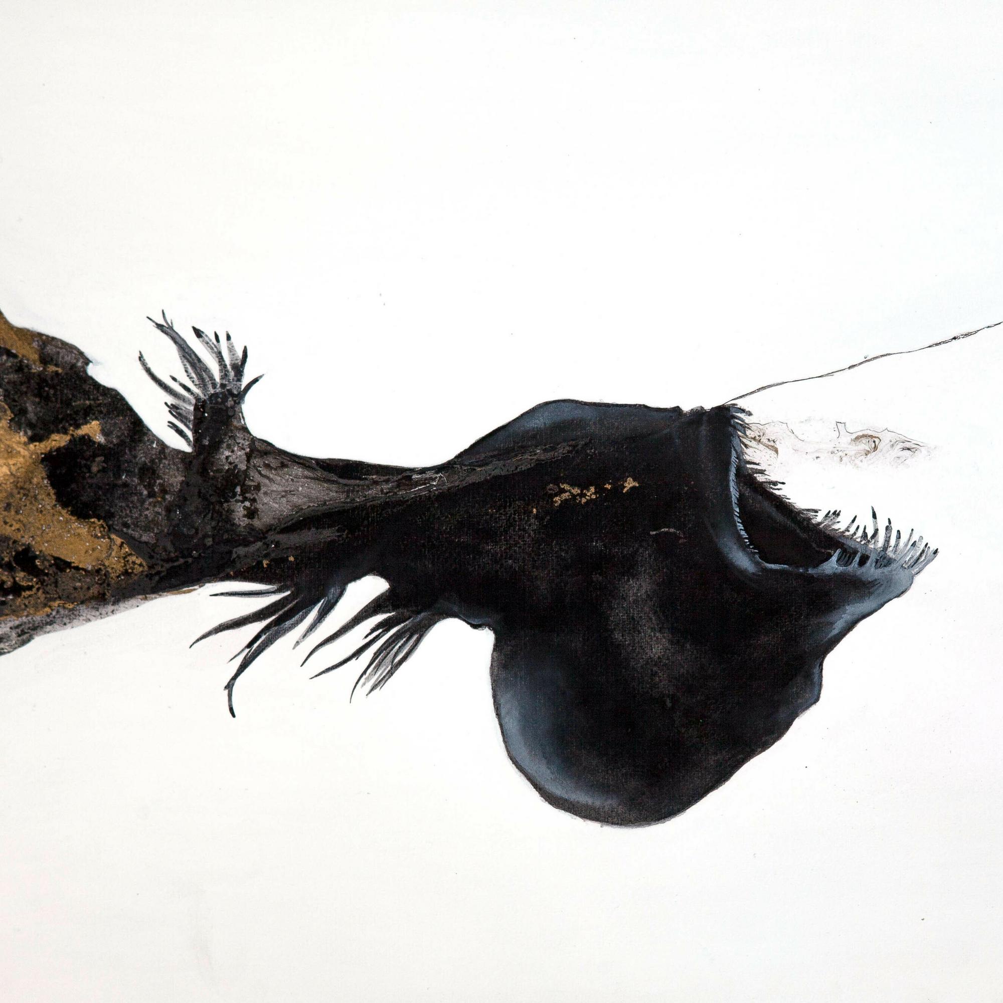 Melanocetus Johnsonii
