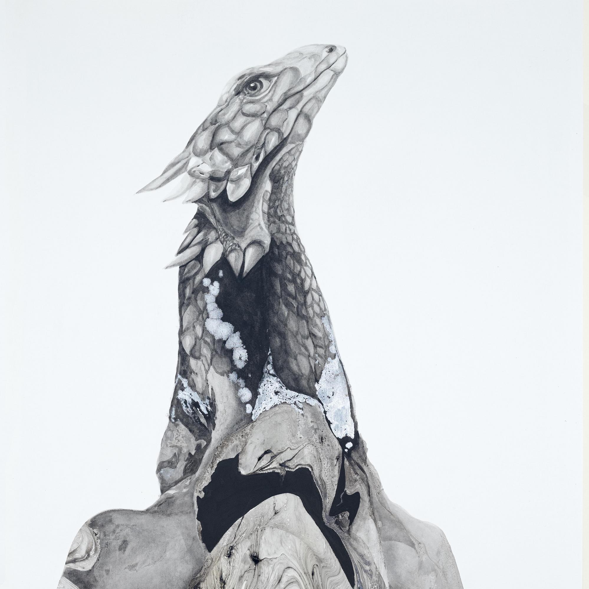 Sungazer Lizard