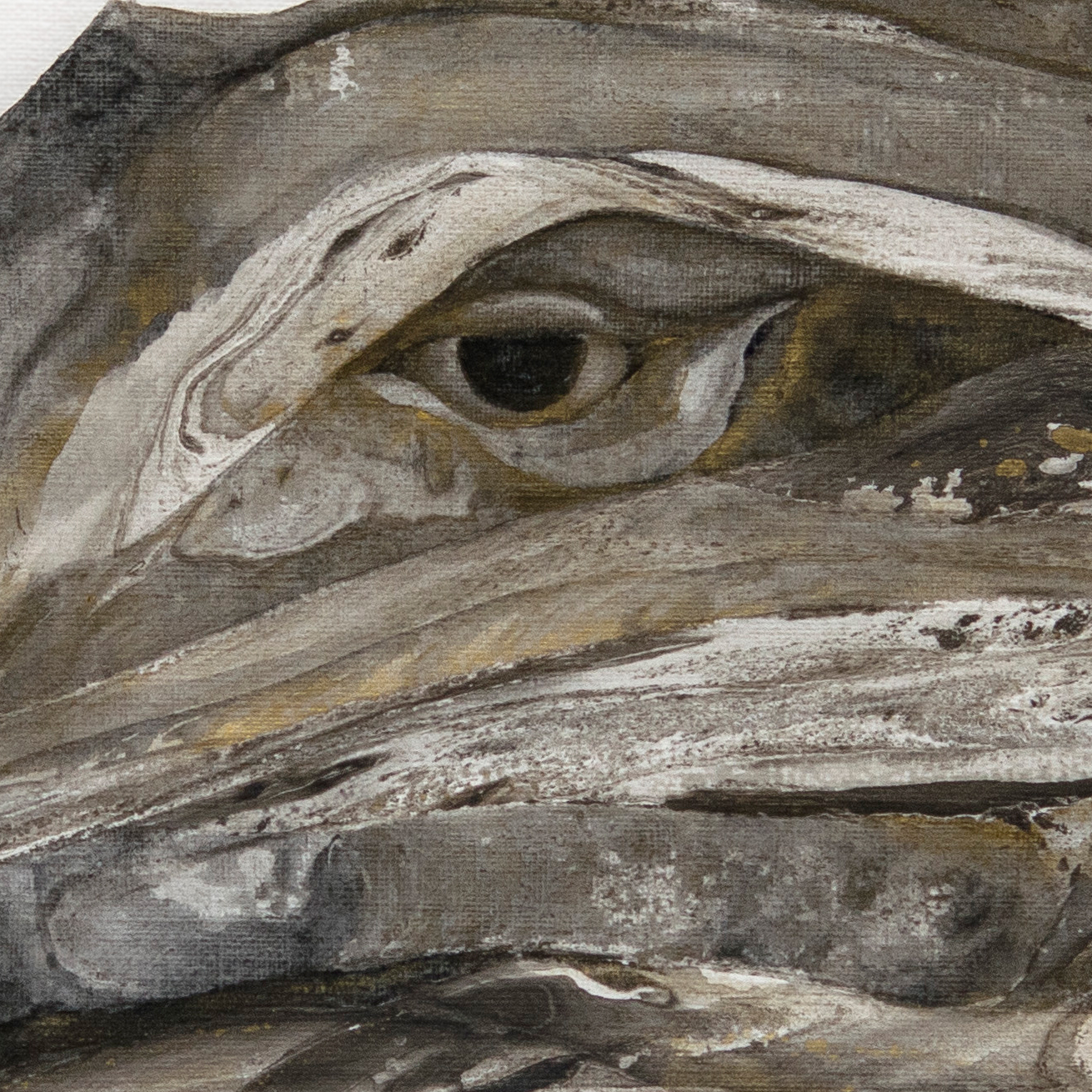 Varanus Priscus