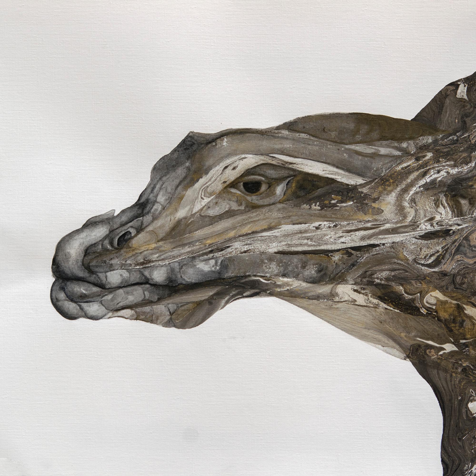 Varanus Priscus