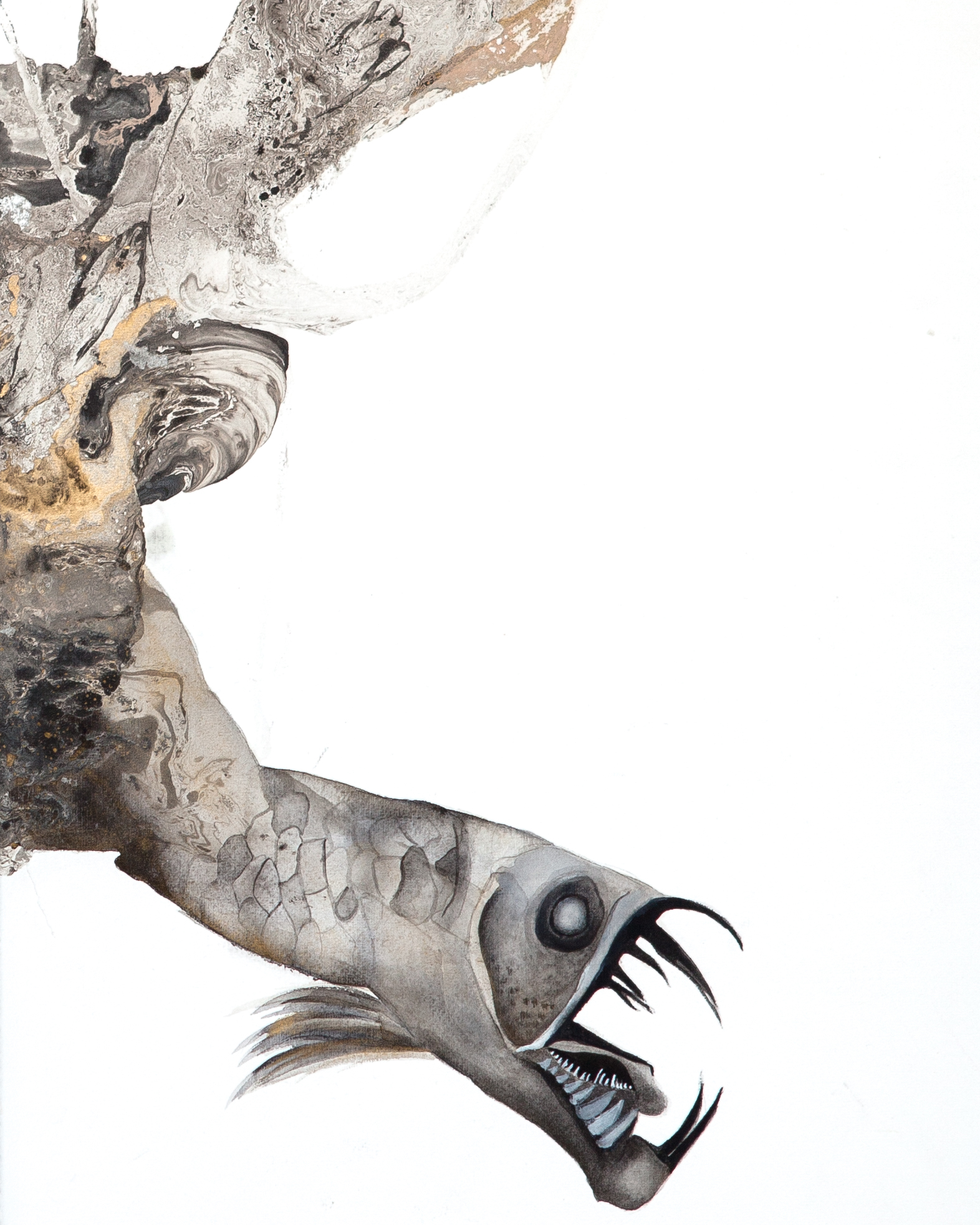 Chauliodus