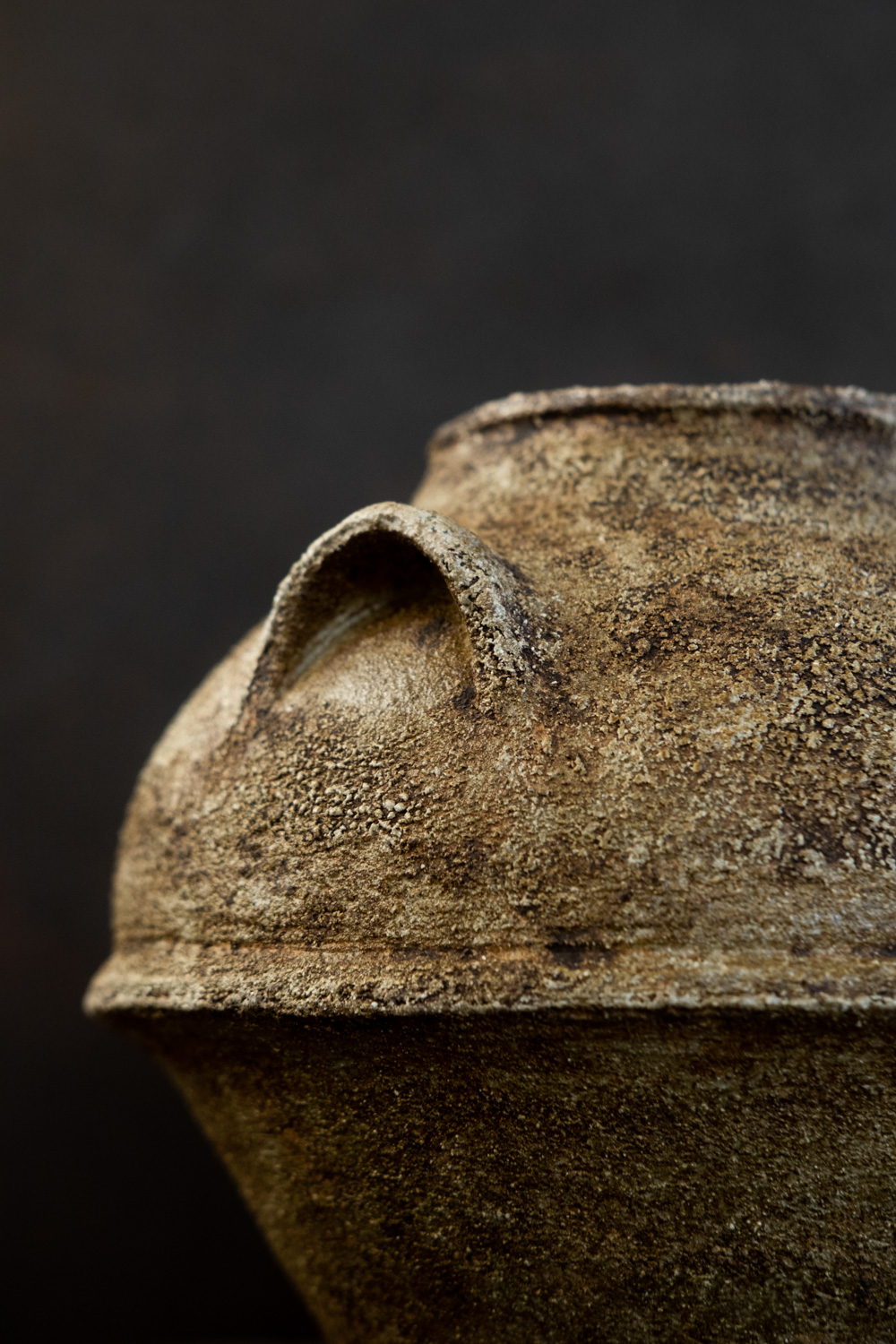 EARTHEN RELIC VASE