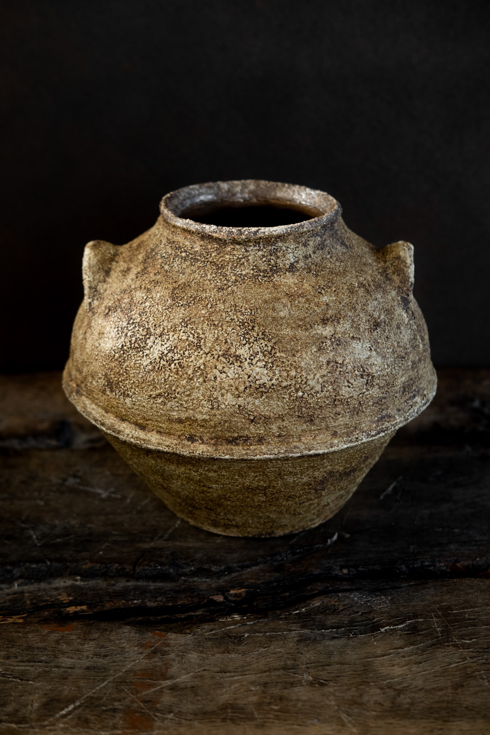 EARTHEN RELIC VASE