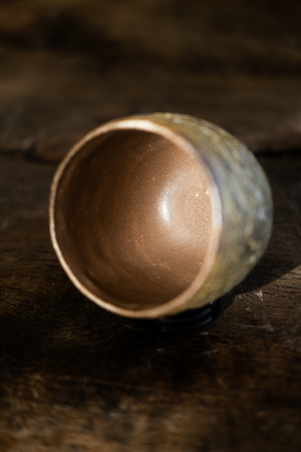 EARTH CUP