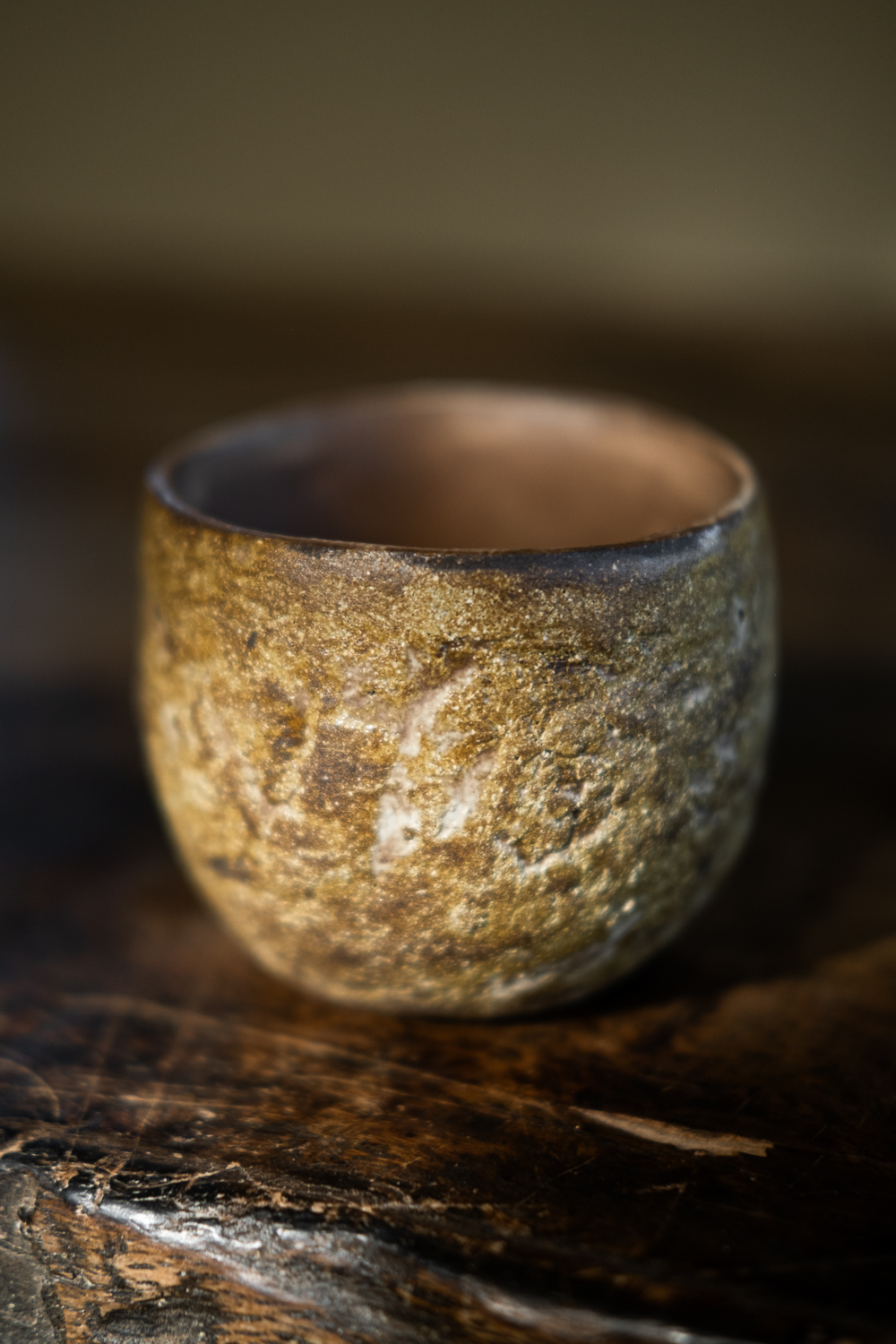 EARTH CUP