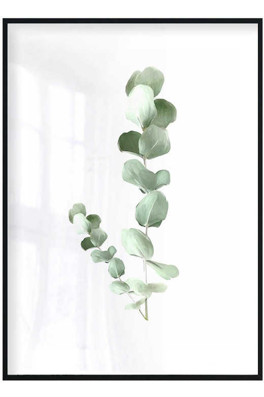 Постеры на стену ботаника, постеры растения и цветы, botanical art ...