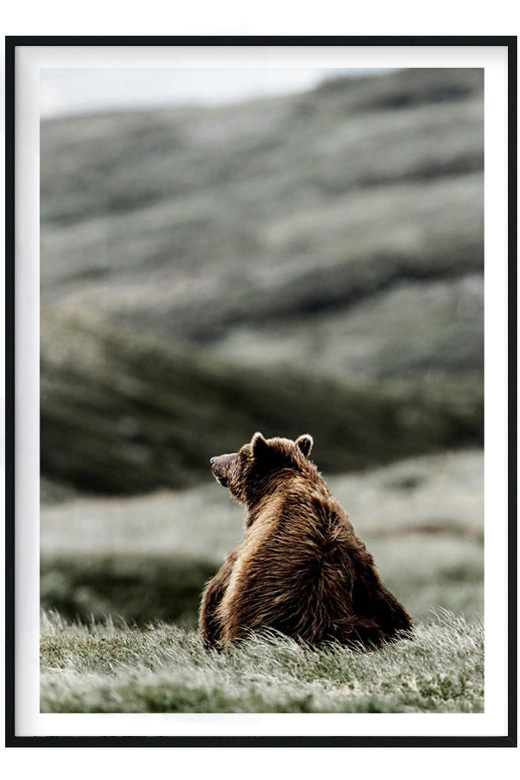 Дизайн медведя: векторные изображения и иллюстрации, которые можно скачать бесплатно | Freepik