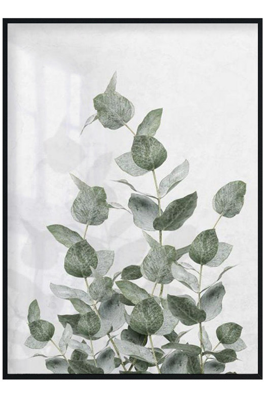 Постеры на стену ботаника, постеры растения и цветы, botanical art ...