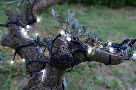 Гирлянда "Солнечная Цепочка"