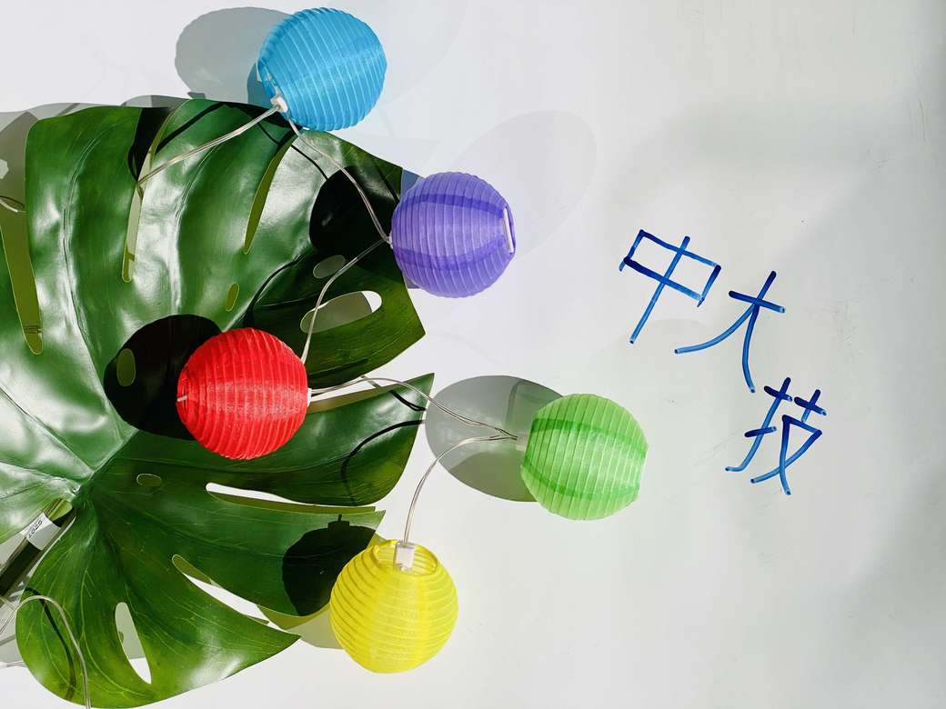 Гирлянда садовая "Шанхайский привет"