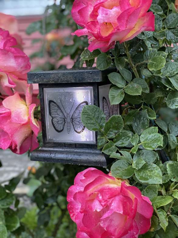 Садовый светильник с бабочкой