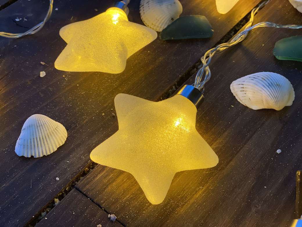 Морские звезды