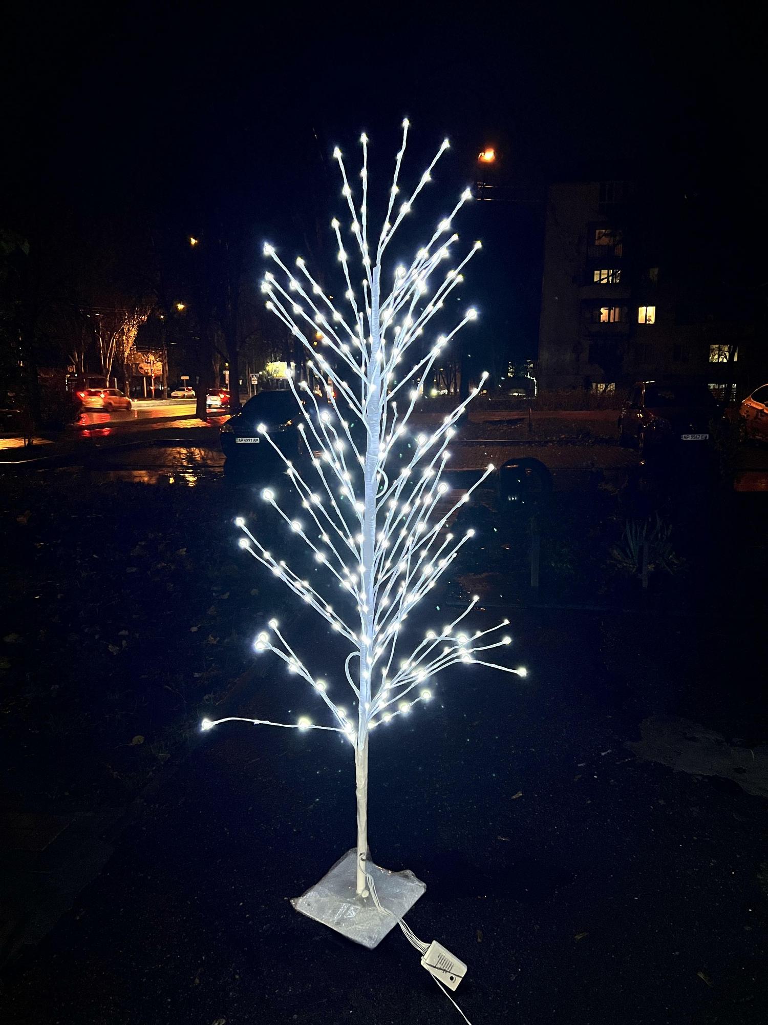 Светящееся дерево