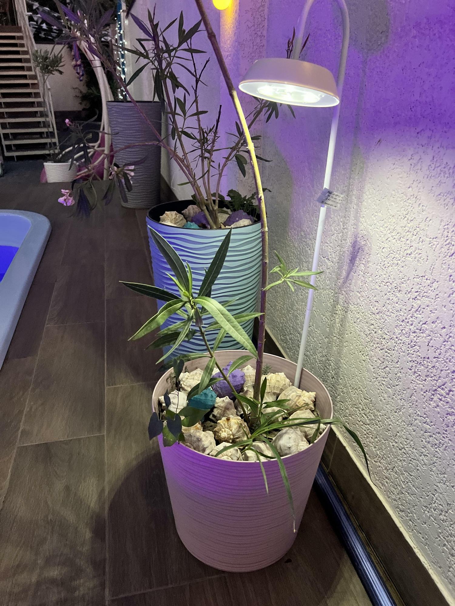 Светильник ландшафтный